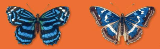 Bildschirmfoto 2015-06-17 um 09.54.43